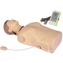 Consciousness Judgement Advanced Medical First Aid Training Education Manikin